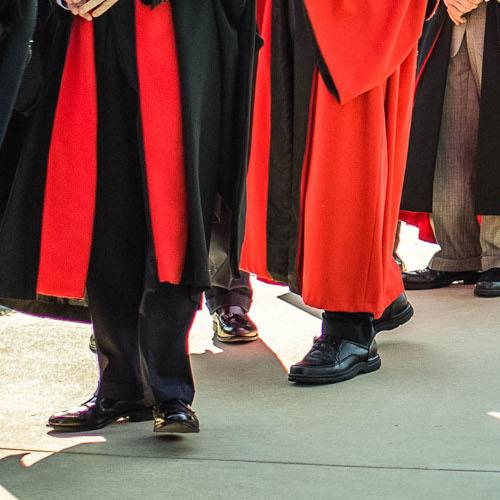 Faculty in Academic Regalia